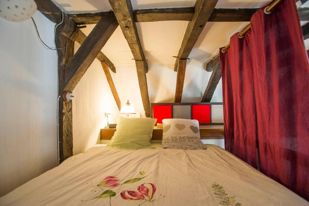 Appartement De Caractere Au Coeur Du Vieux Tours Exterior foto